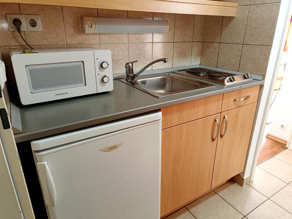 Kuchyň nebo kuchyňský kout v ubytování Famulus Kollégium