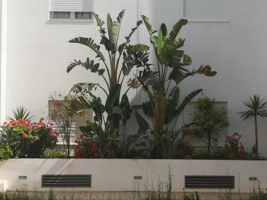 O grădină în afara Very high standing apartment