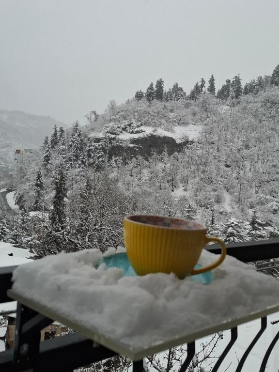 Borjomi Nest 1 v zimě