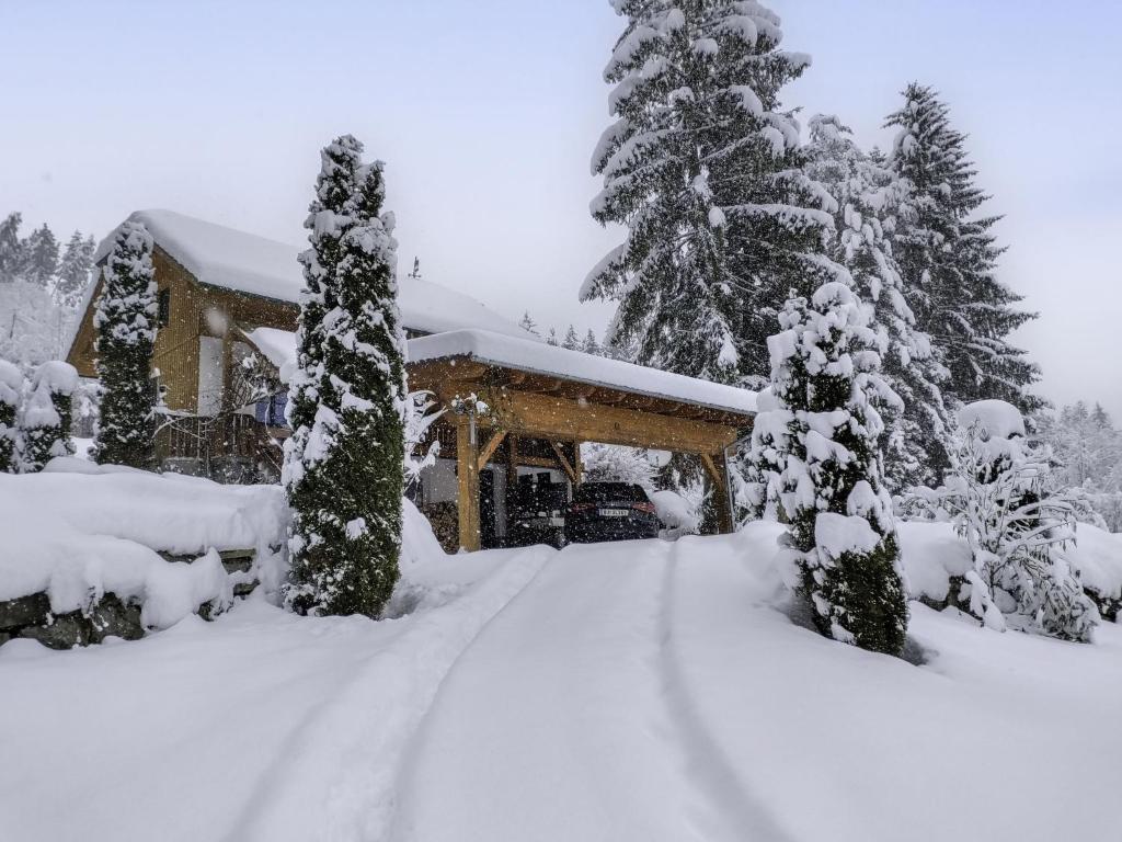 een huis bedekt met sneeuw met bomen op de achtergrond bij Holiday Home Reiter by Interhome in Rohrbach