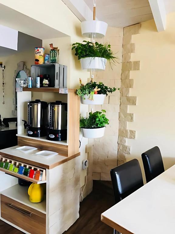 Kuchyň nebo kuchyňský kout v ubytování Gästehaus Elzblick