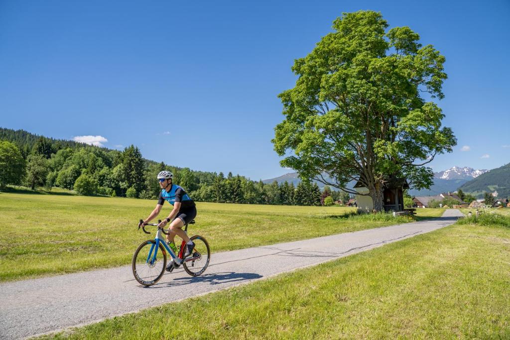 Jazda na bicykli v okolí ubytovania Ferienwohnung Davidhof