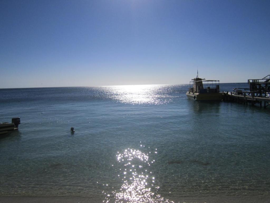 un barco en el agua junto a un muelle en Coconut Tree West End en West End