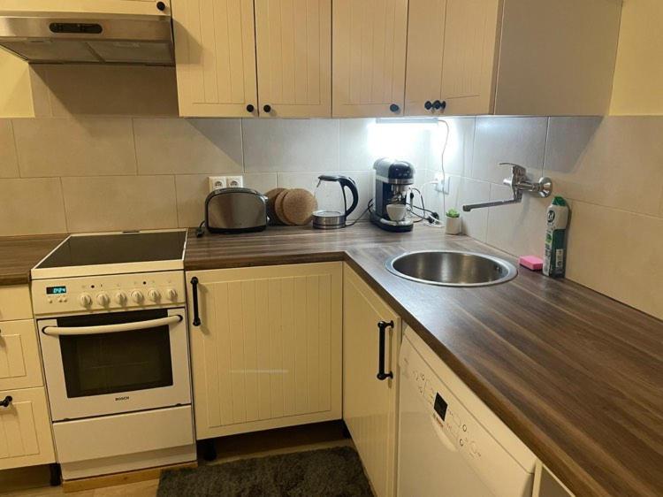 Kuchyň nebo kuchyňský kout v ubytování Apartment Těchov