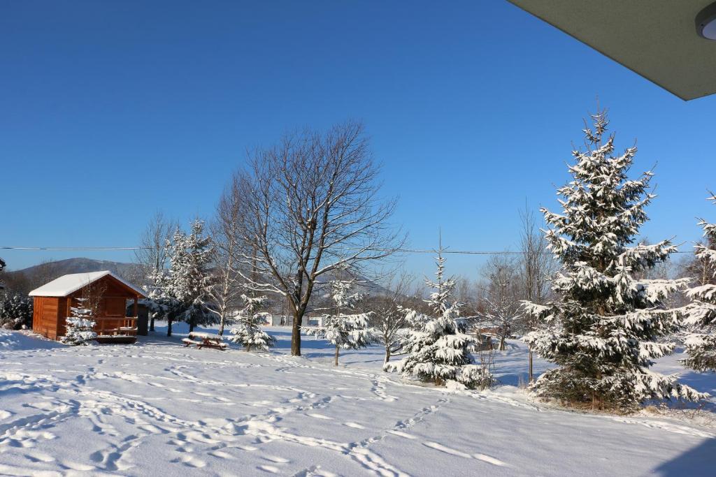 Penzion U Barana - 14