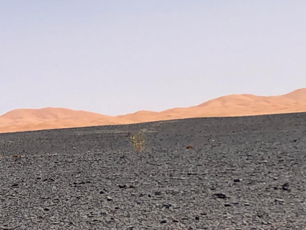 Paysage naturel près de la tente de luxe