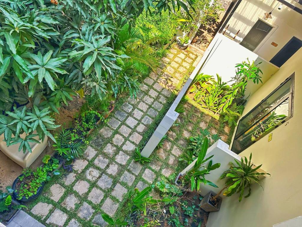 Zahrada ubytování Botanic Garden Villa Siem Reap