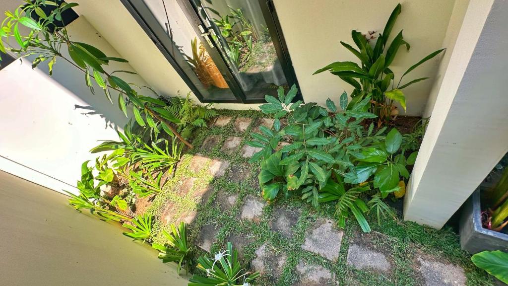 Zahrada ubytování Botanic Garden Villa Siem Reap