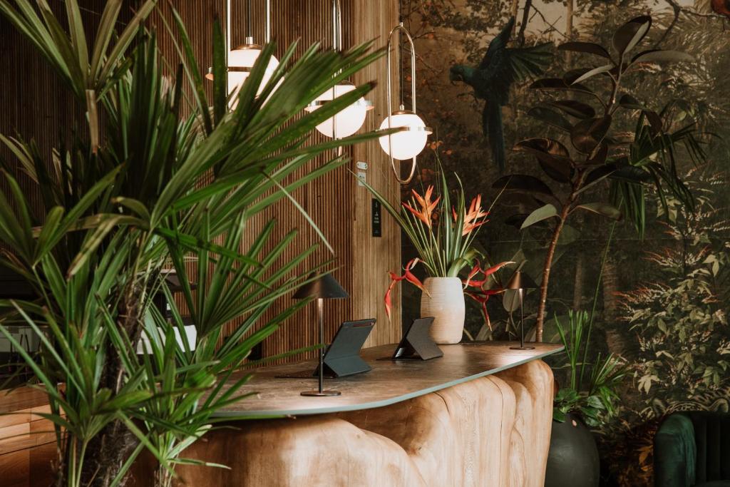 Fotografie z fotogalerie ubytování Selvario 36 Hotel v destinaci Medellín