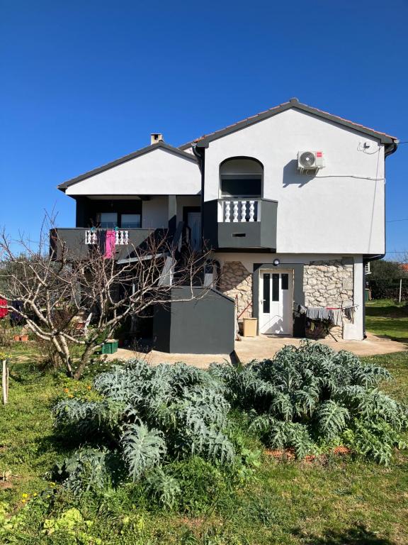 Apartman Tiziana