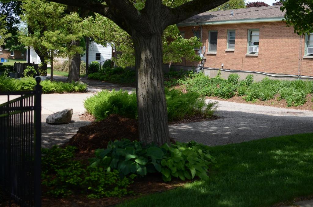 Ludington Blue Spruce Inn photo
