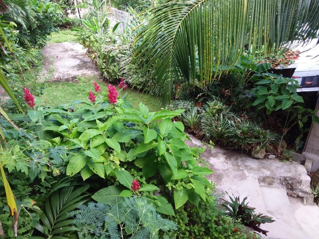 Un jardín fuera de Port Antonio Brian's Beach House