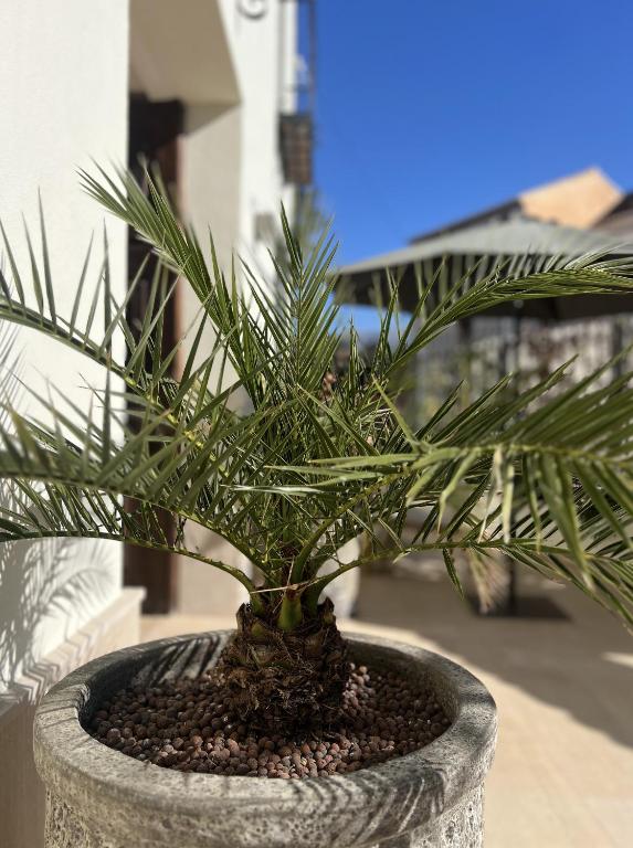 Fotografie z fotogalerie ubytování Elysium Luxury Stays v destinaci Melegis