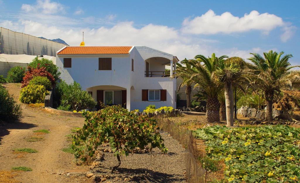 加拉奇科Haus Am Meer In Garachico的前面有树木和植物的白色房子