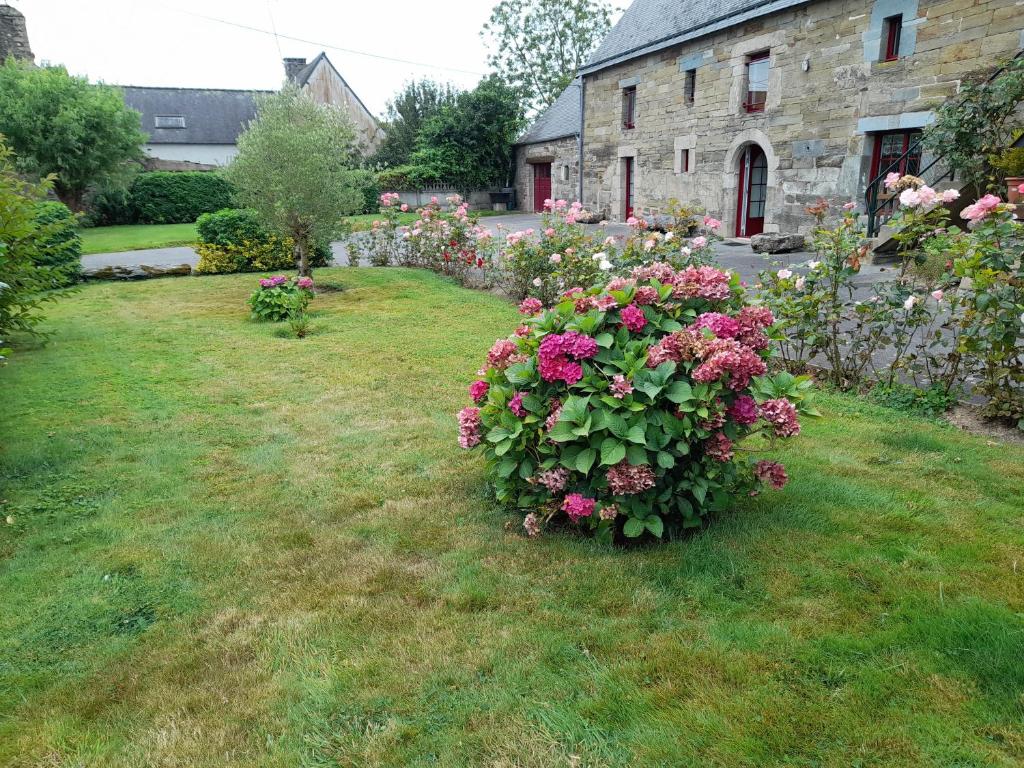 a garden with pink flowers in a yard at Une maison rien que pour vous in Cléguérec