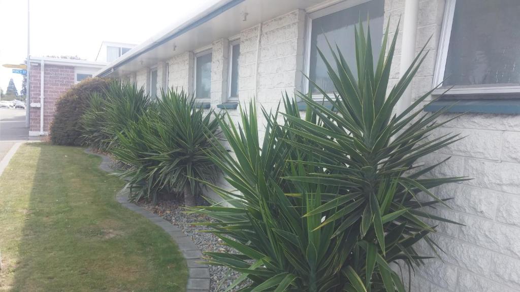 Zahrada ubytování Raymar Motor Inn