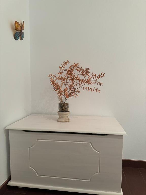 Zdjęcie z galerii obiektu CASA LELA w mieście O Pindo
