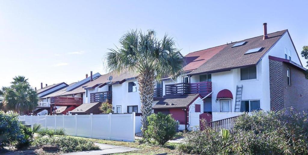 マートルビーチにあるNear the beach and golfs house with 6 bedsのヤシの木並木