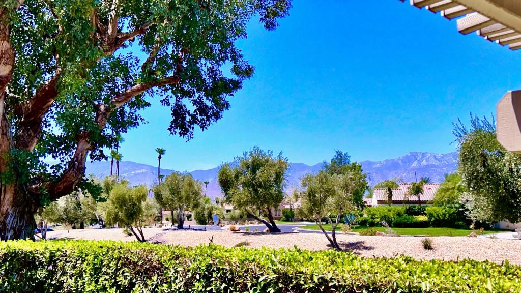 a park with trees and mountains in the background at Courtside Contemporary in Rancho Mirage