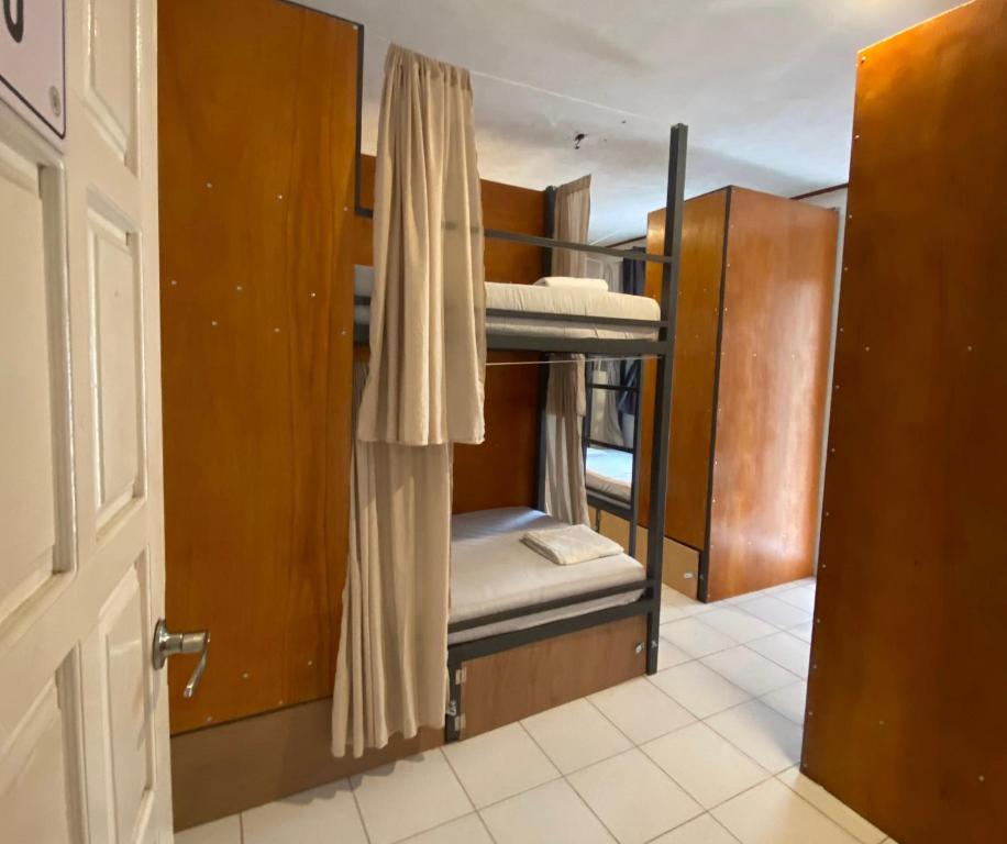 Hostel Treebu 객실 침대