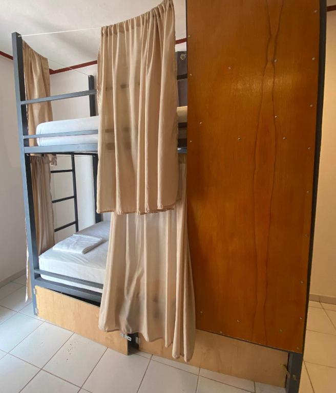 Hostel Treebu 객실 침대