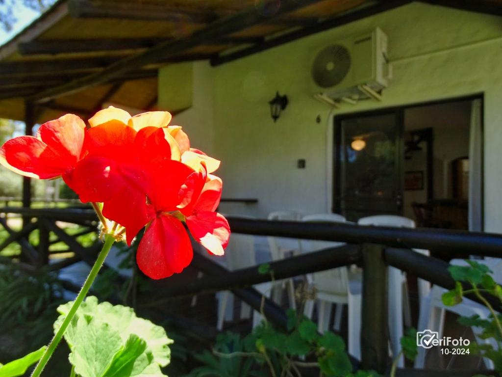 Balkón nebo terasa v ubytování Bungalows Punta Colorada