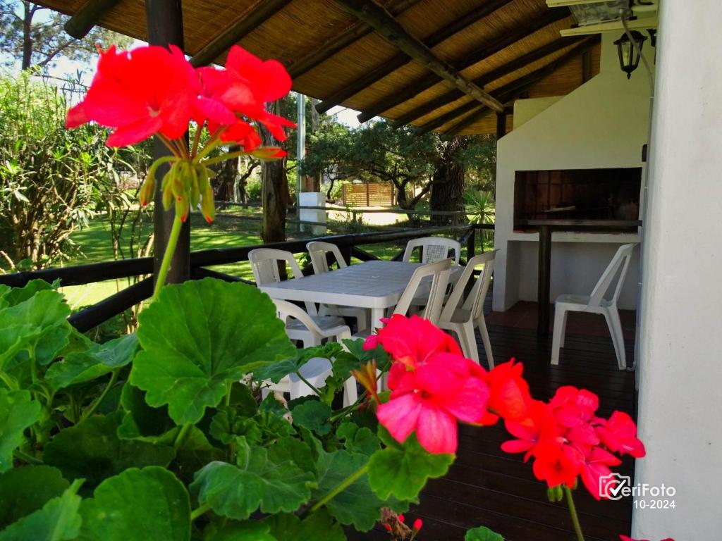 Zahrada ubytování Bungalows Punta Colorada