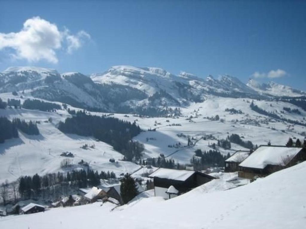 Wisli - b48517 im Winter