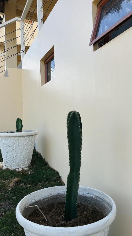Fotografie z fotogalerie ubytování Casa De Amor Lambug v destinaci Badian