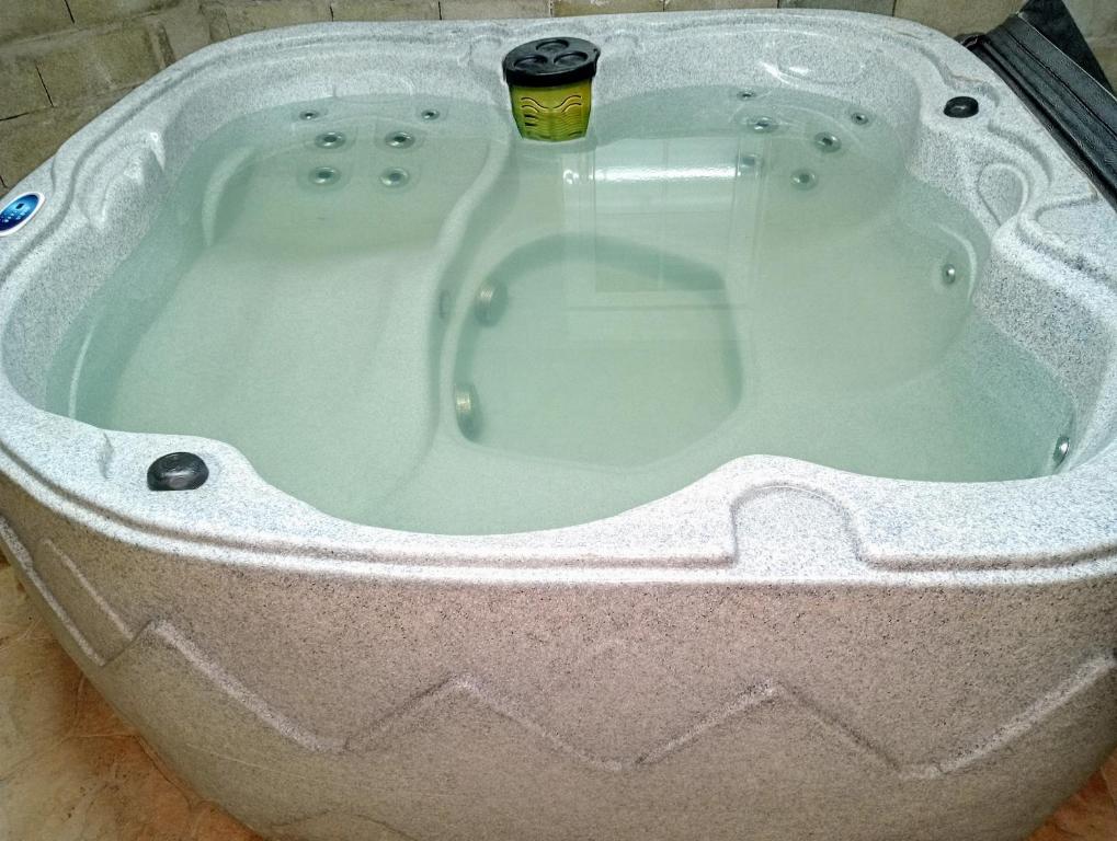 Una bañera de hidromasaje con una taza dentro. en Finca Los Nieto, en Villamanrique de Tajo