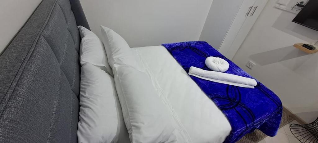 Twinex Accommodation Parow photo