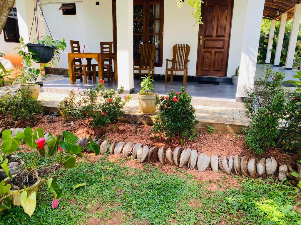 Zahrada ubytování Fairview Dill homestay