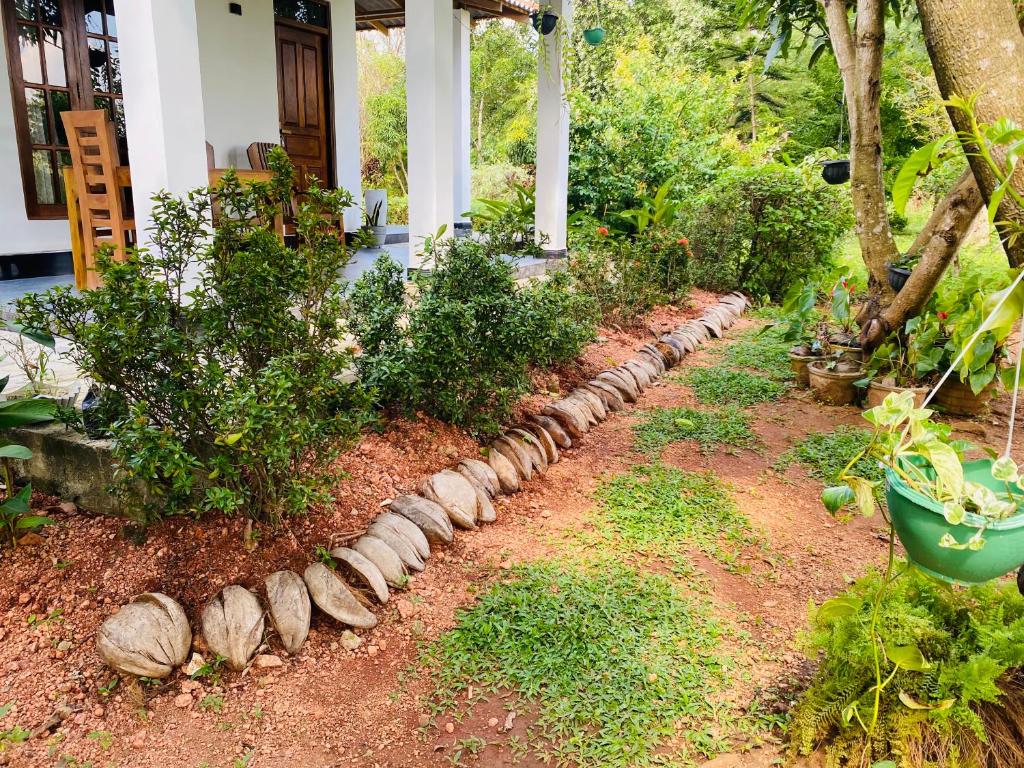 Zahrada ubytování Fairview Dill homestay