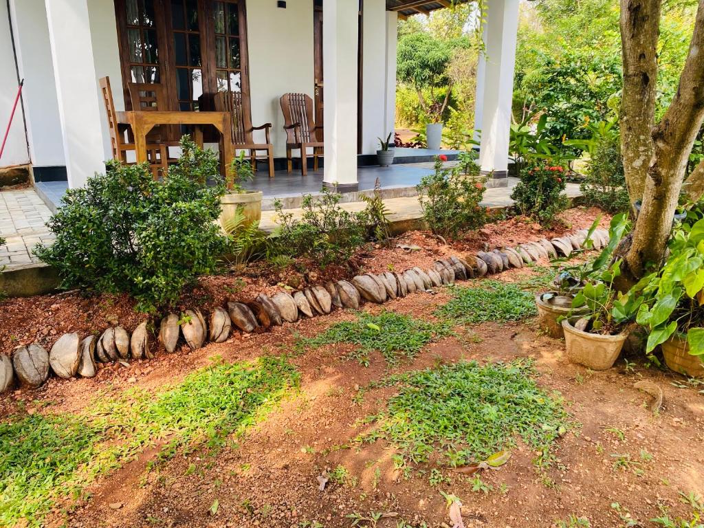 Zahrada ubytování Fairview Dill homestay