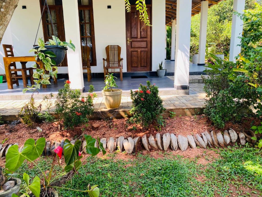 Zahrada ubytování Fairview Dill homestay