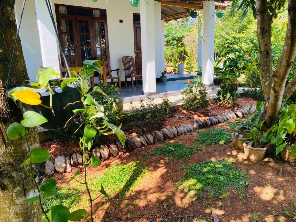 Zahrada ubytování Fairview Dill homestay
