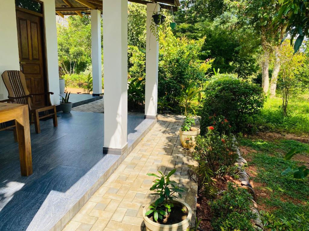 Zahrada ubytování Fairview Dill homestay