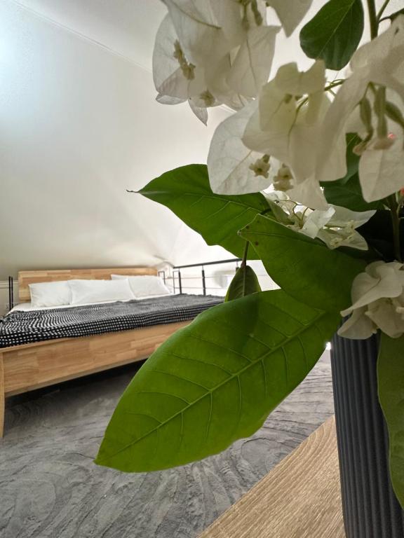 Postel nebo postele na pokoji v ubytování Ambra Maldives