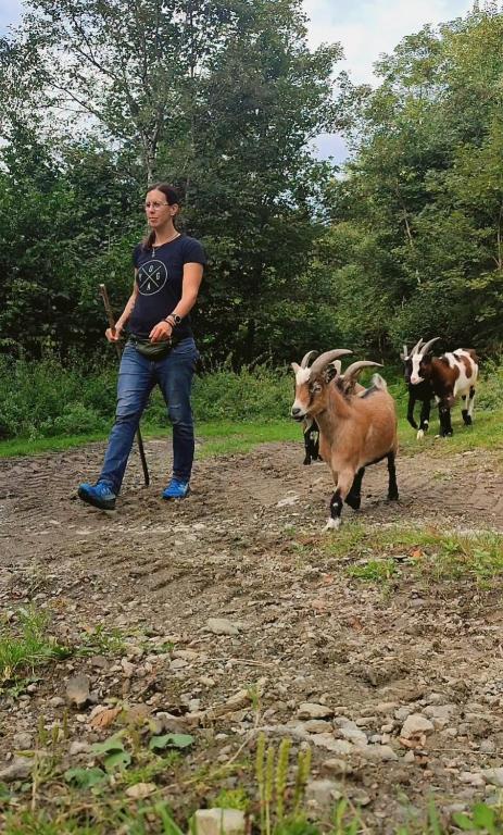Zvířata v prázdninového domu nebo okolí