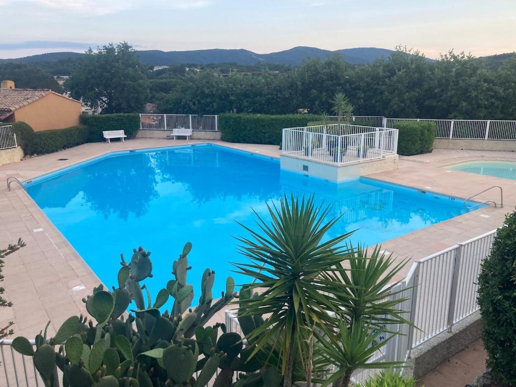 una gran piscina azul con un cactus en Mas provençal proche St Tropez, en Cogolin