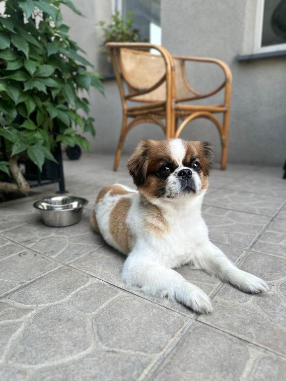 Hotel Victory Home - Resim 12