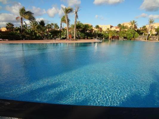Fotografie z fotogalerie ubytování Ferienwohnung Mit Terrasse Und Gemeinschaftspool v destinaci Corralejo