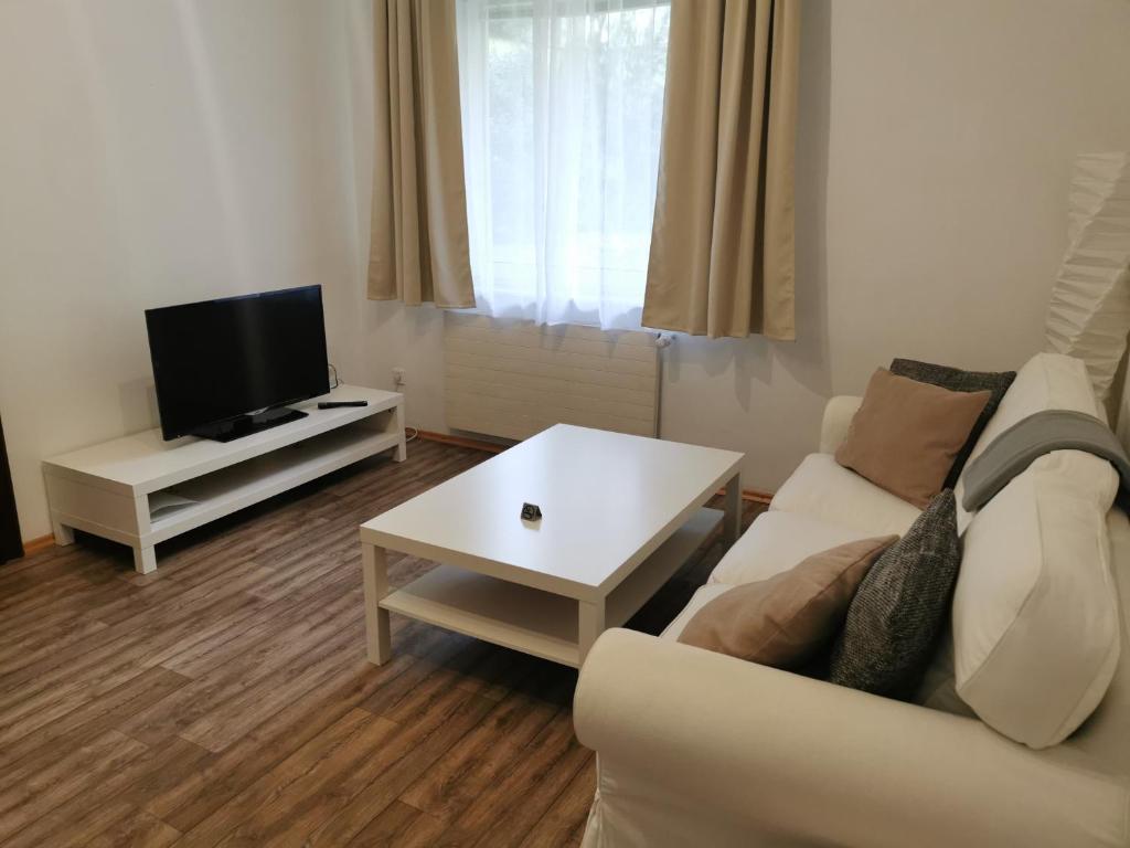Μια τηλεόραση ή/και κέντρο ψυχαγωγίας στο Ferienunterkünfte in Sievering mit Self-Check-In