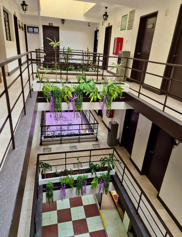 Fotografie z fotogalerie ubytování Hotel Catalina v destinaci Orizaba
