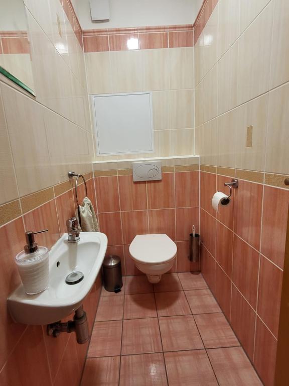 Koupelna v ubytování Penzion u Jessyho - APARTMÁN