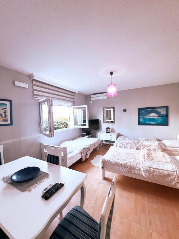 Apartments Aerodrom - 10