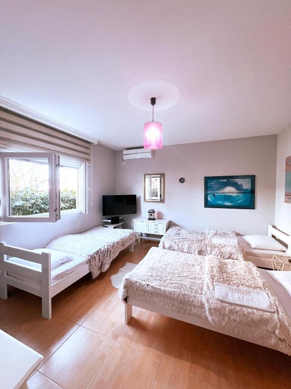 Apartments Aerodrom - 7