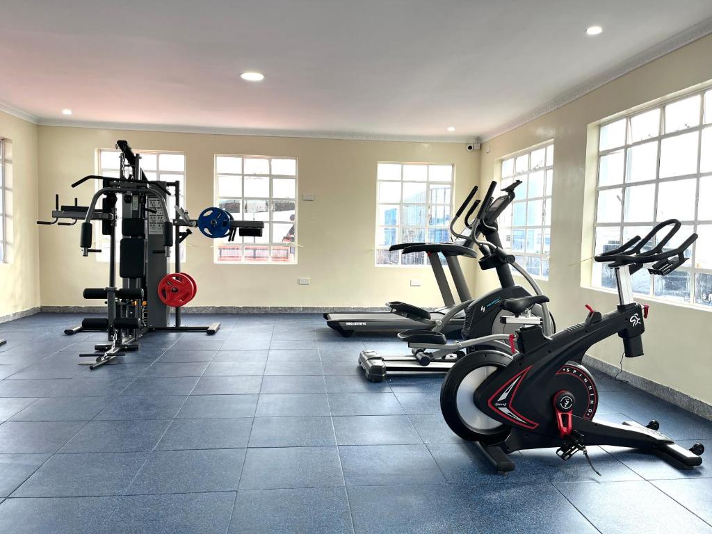 Fitness centrum a/nebo fitness zařízení v ubytování Naka Executive Suites With Balcony, Amazing View of Lake Nakuru, GYM