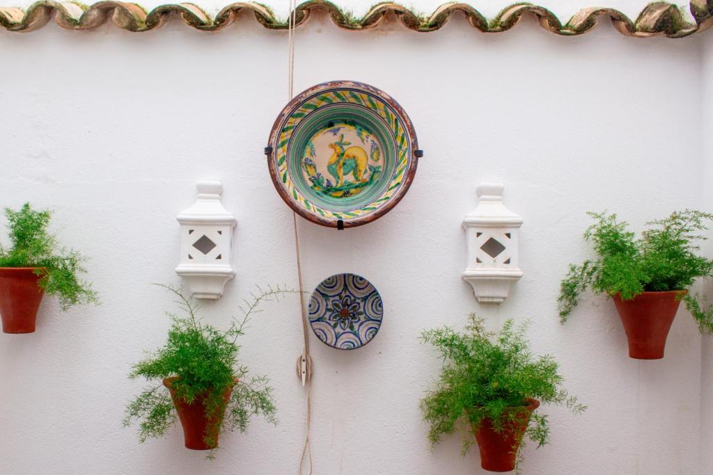 Fotografia z galérie ubytovania Casa Patio de los Arcos v destinácii Córdoba