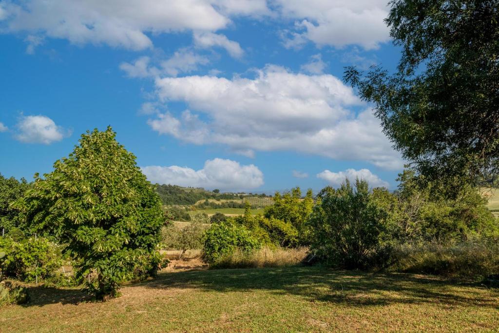 Príroda v okolí farmy